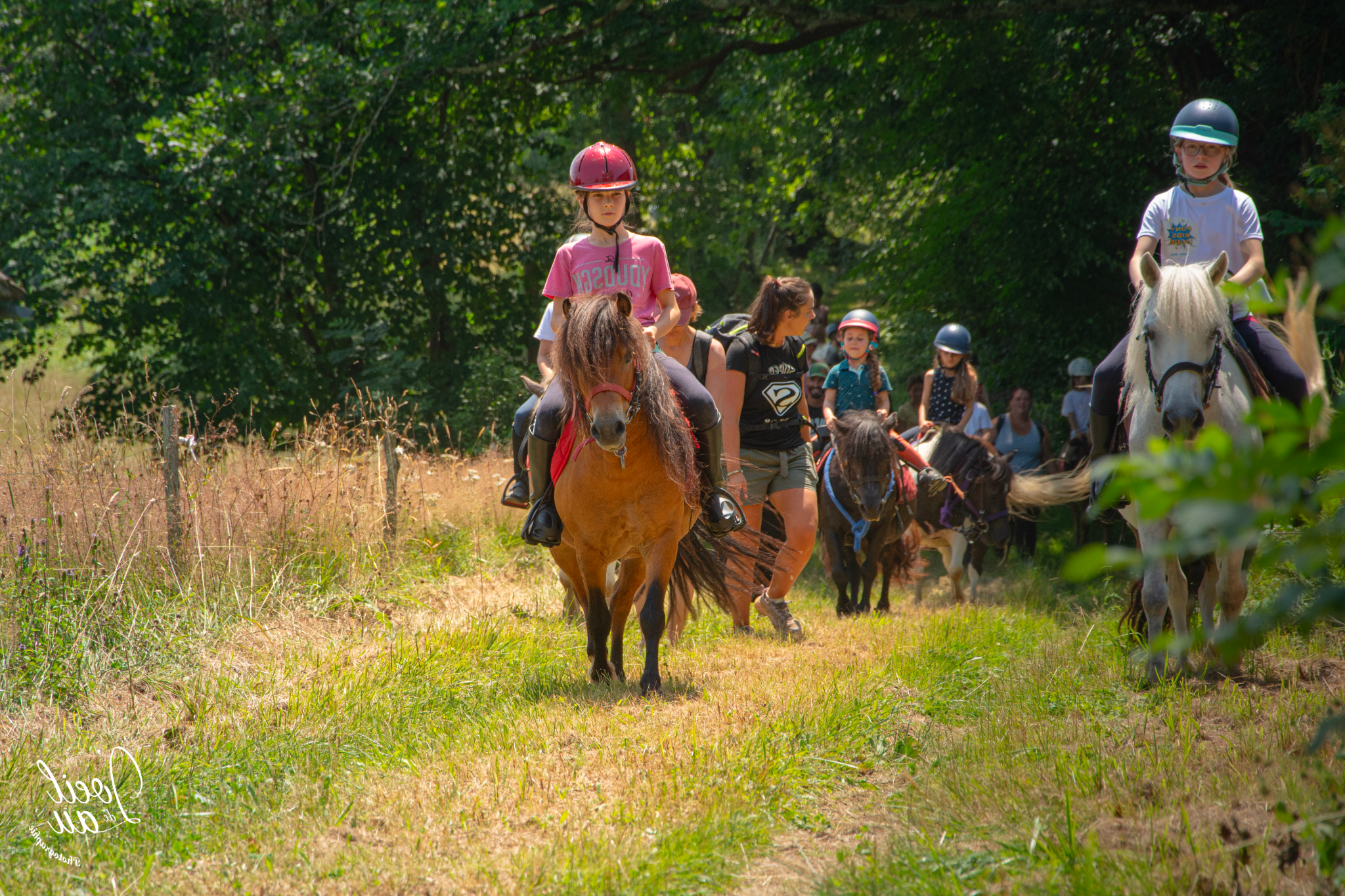 les-ptits-cavaliers-club-poney-enfant-pau