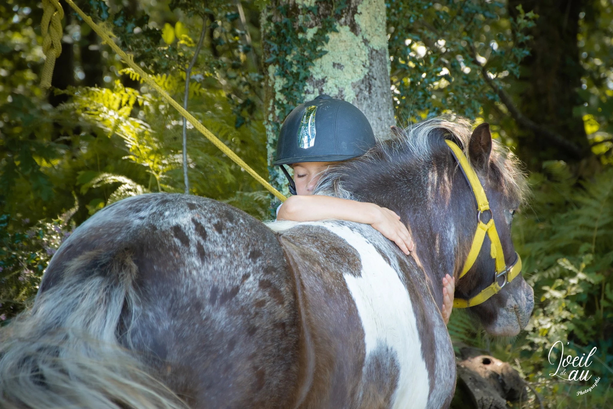 les-ptits-cavaliers-pau-stage-poney-vacances